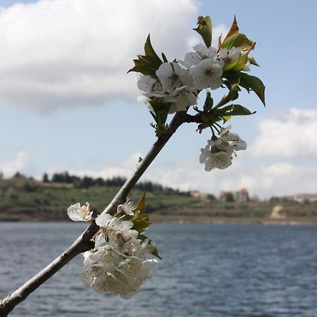 Zimer Al-Bayt Mas'ada Buitenkant foto