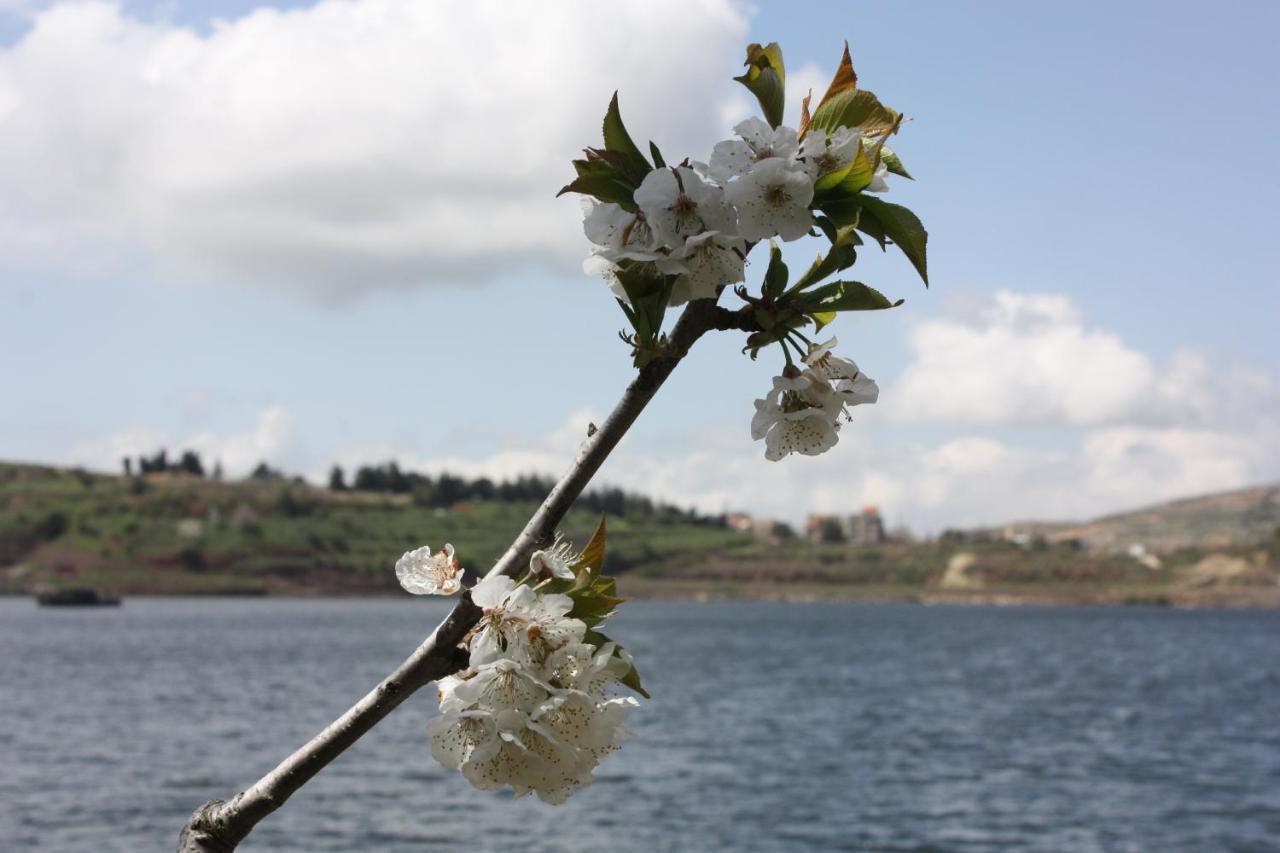 Zimer Al-Bayt Mas'ada Buitenkant foto