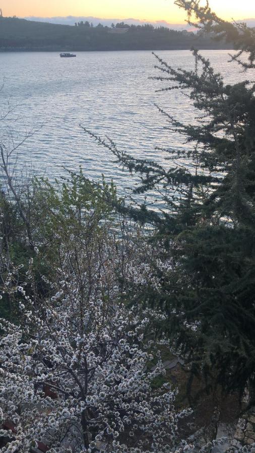 Zimer Al-Bayt Mas'ada Buitenkant foto
