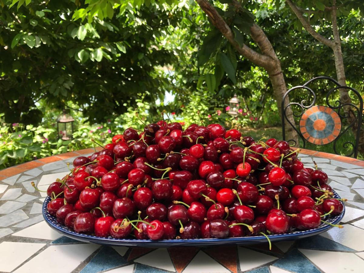 Zimer Al-Bayt Mas'ada Buitenkant foto